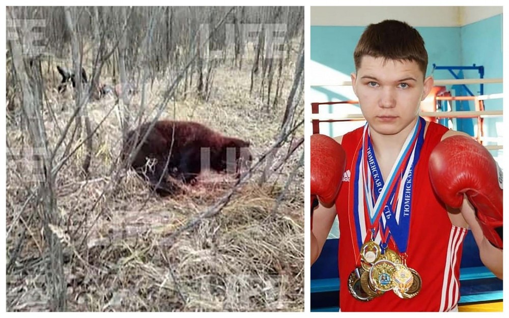 FOTO // Un boxer de 23 de ani s-a luptat pentru viață cu un urs care i-a ucis prietenul. Animalul a fost doborât cu o lovitură de cuțit